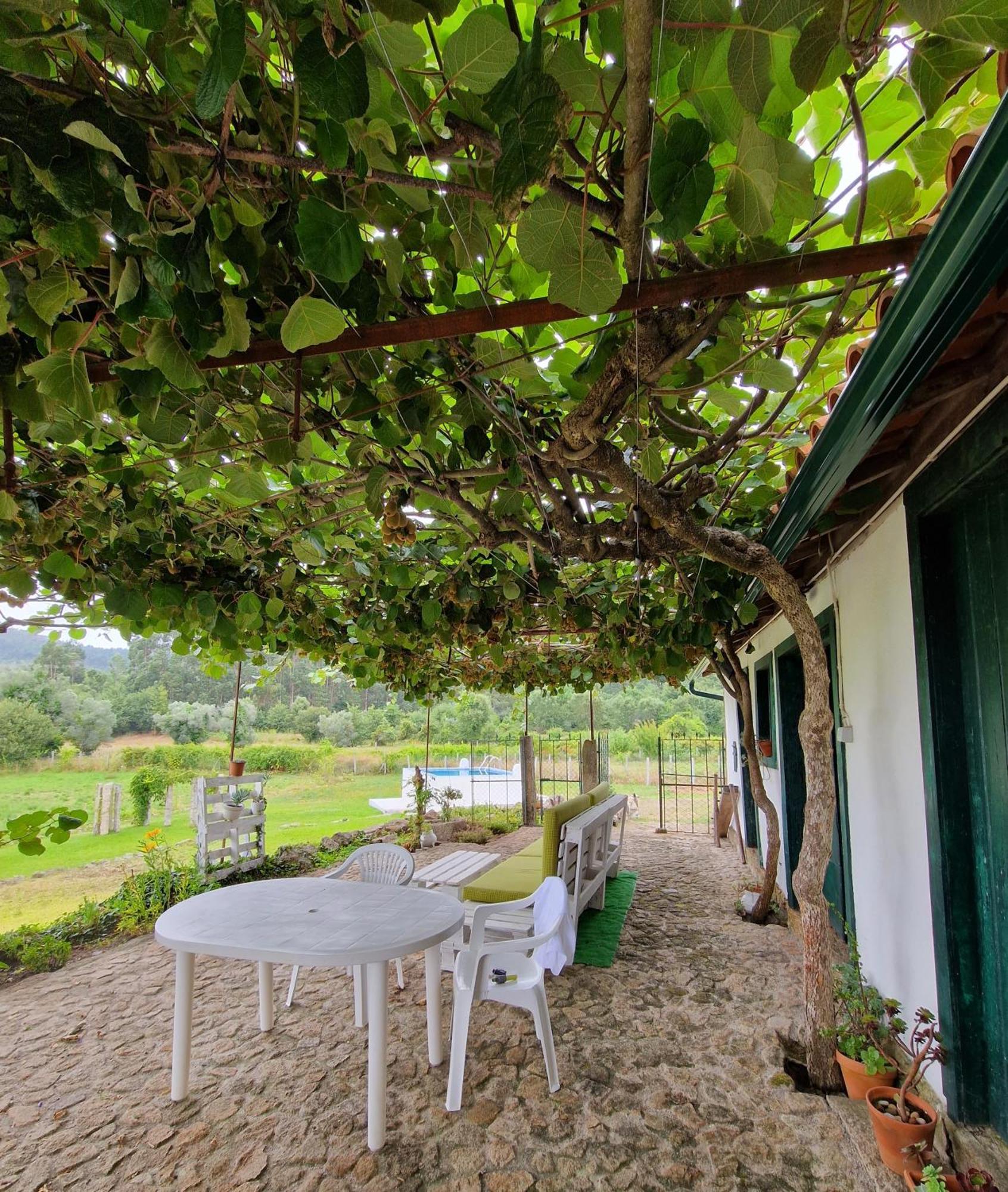 Вилла Casa Do Pinheiro Manso Валенса Экстерьер фото