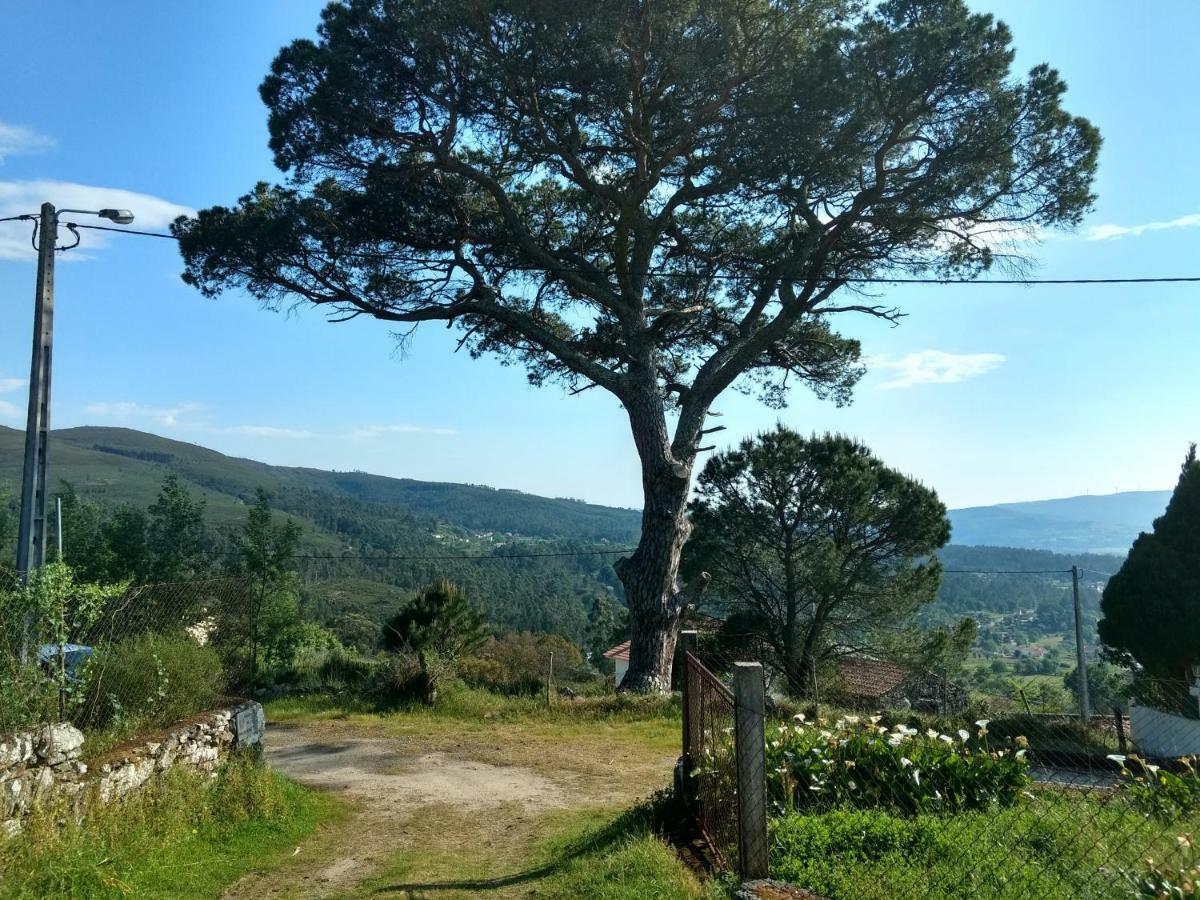 Вилла Casa Do Pinheiro Manso Валенса Экстерьер фото